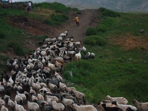 bir gün güneş doğacak uğur IŞILAK