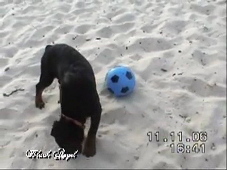 a la plage