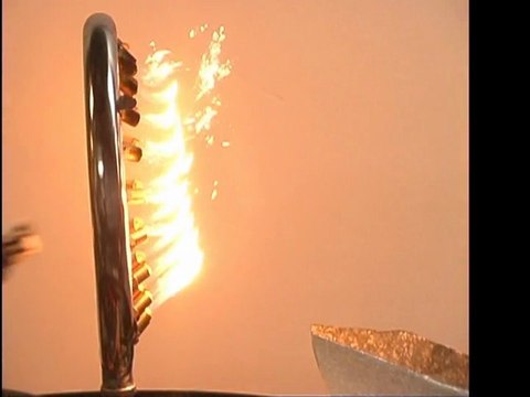 Nutsy's: Ring of Fire. By Tom Sachs