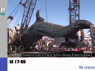 Zapping Actu du 9 février 2012 - Marine Le Pen chahutée à la Réunion, Impressionnante cascade de glace...