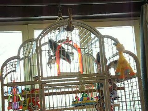 je t'ai eu héhéhé , c'est beau un chou, tes gentil, tu n'est pas gentil humm , c'est bon ça etc.......