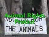 [ALF] - Front de Libération Animale - Protestaion pour les droits des animaux - Animal_Rights_Protest