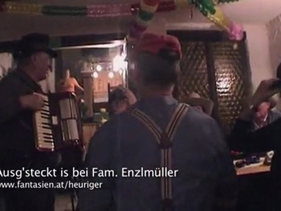 Heurigen in Stein - Ausgsteckt ist !