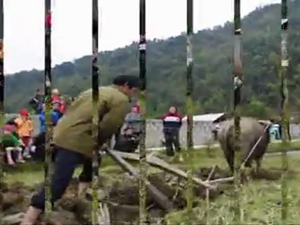 Jeu commun de Vietnam Tet 2012