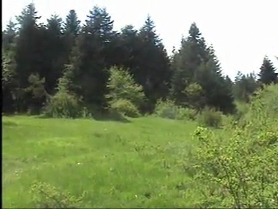 Allah Allah Kerim Allah