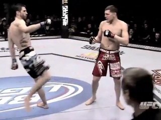 UFC 143 Highlights