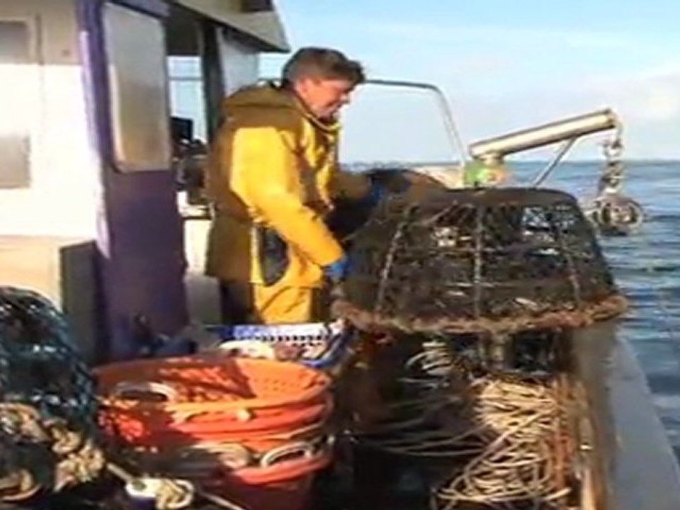 Pêche responsable et durable : la pêche aux bulots et aux grands crustacés en Normandie du côté de Granville