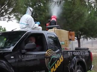 Plagas urbanas y Desratización - Madrid - Bioplagas