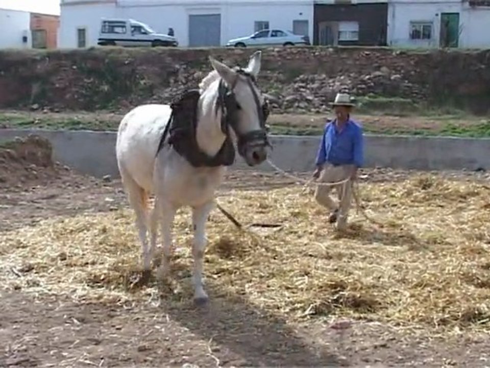 Batén a l'era. Benlloch, 2005