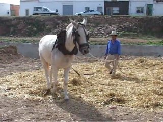 Batén a l'era. Benlloch, 2005