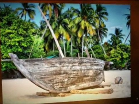 Dating Asian Singles - White Guys and Asian Girls for dating