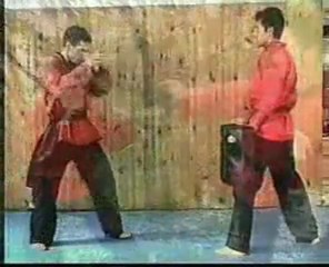 JINGLE DVD COMBAT KUNG FU