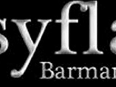 Easyflair barman jongleur Lausanne Geneve Sion Montreux Fribourg Neuchatel