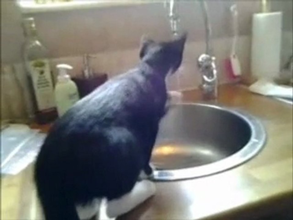 Katters beteenden (min katt)