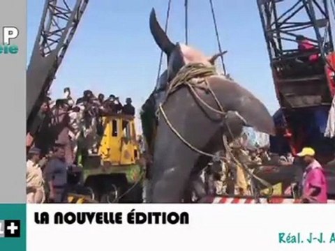 Zapping télé du 09/02/2012 - À quoi ressemblerait N. Sarkozy s'il était une femme ?