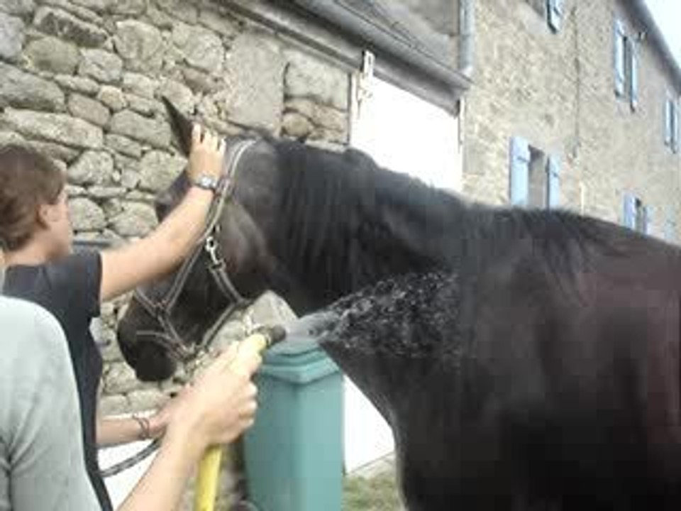 Iola a la douche