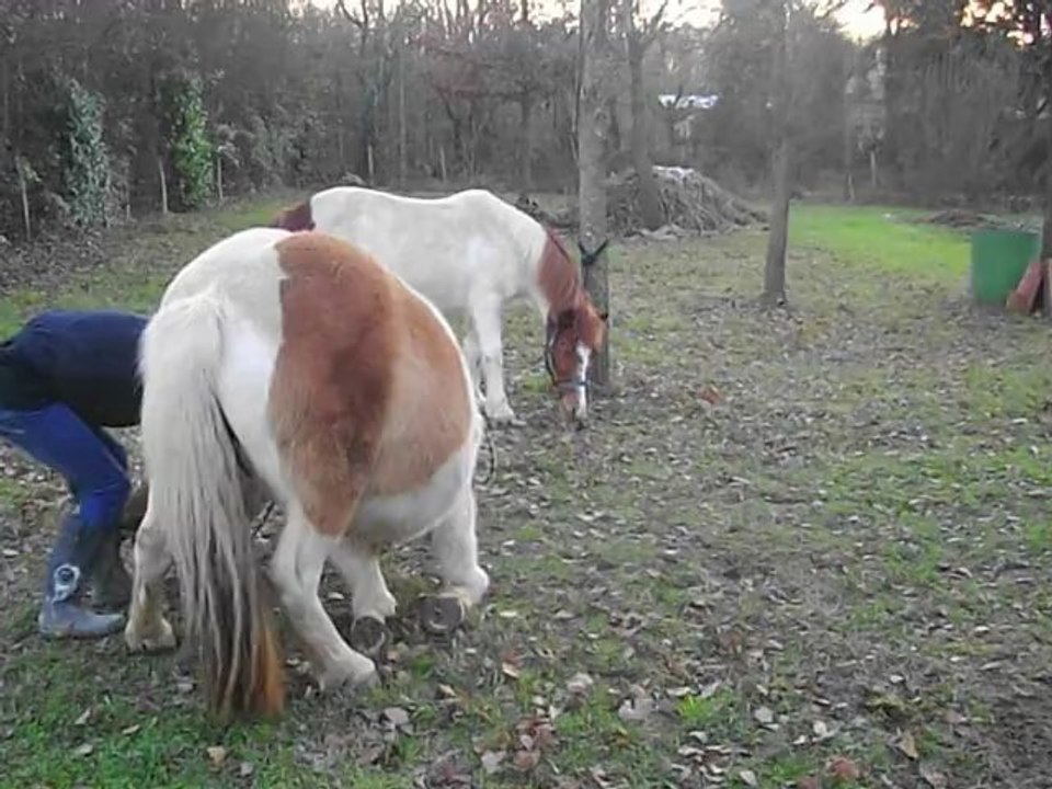 olympe premiere "mise a genoux"