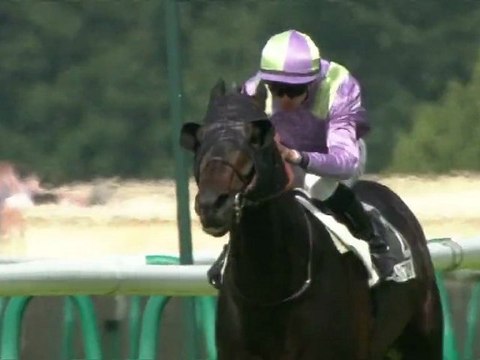 Slickly Royal, nouvel étalon au Haras de la Forêt