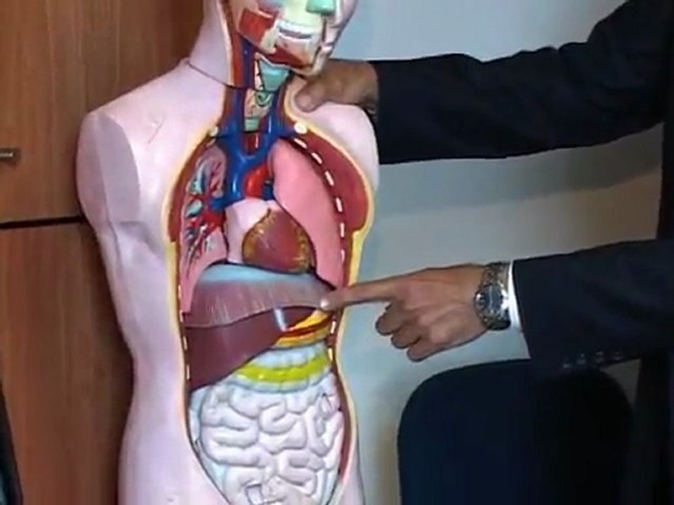 ACTOS Lawyers of Phillips Law Offices | Personal Injury Lawyers