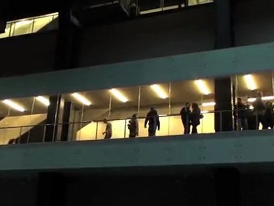 Ai Wei Wei - Unilever series : Sunflower seeds