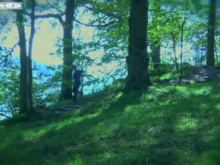 Salomon XA Pro review