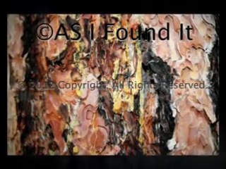 Naturally Inspired Patterns