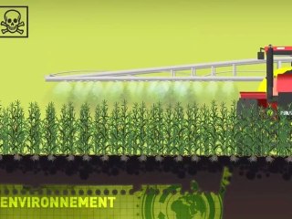[OGM] - ogm animation green peace