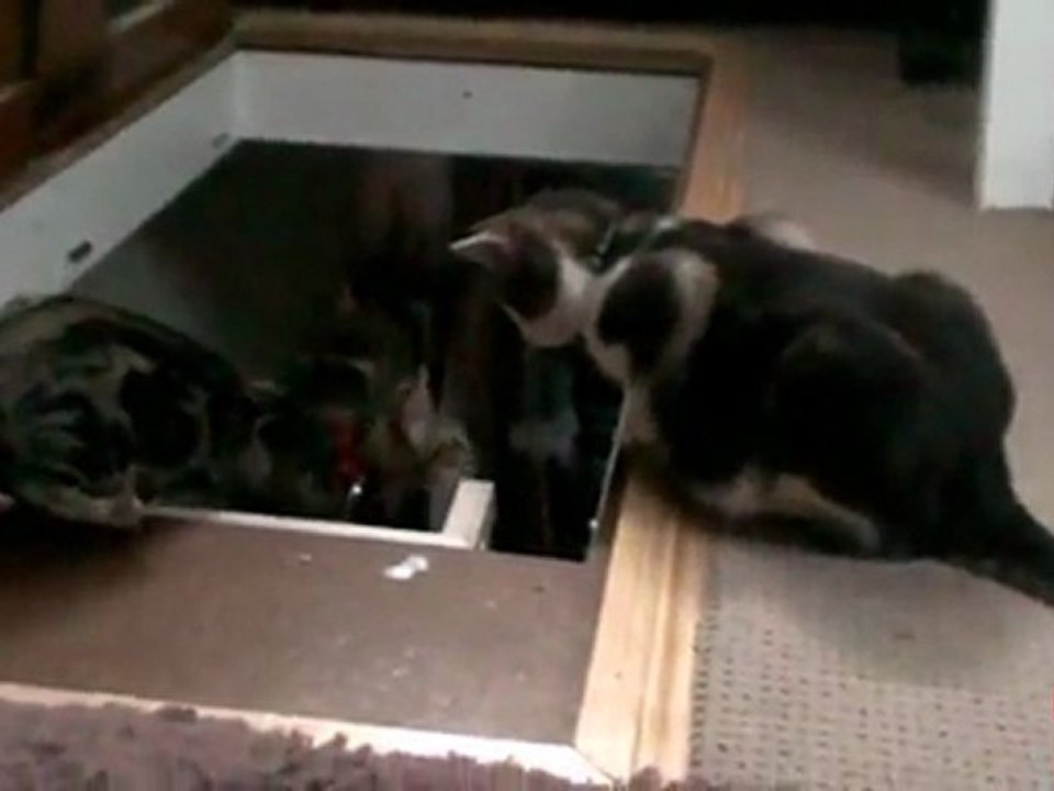 Τι θα γίνει θα κατεβείς επιτέλους