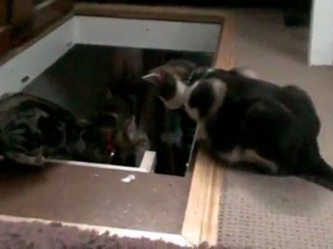 Τι θα γίνει θα κατεβείς επιτέλους