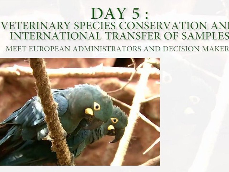 1st international conference on avian, herpetological and exotic mammal medicine