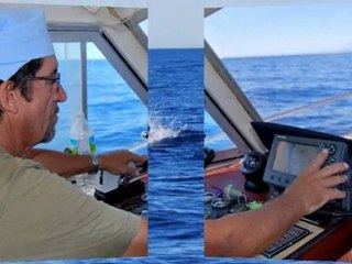 Pêche au THONS 13 sept 2011