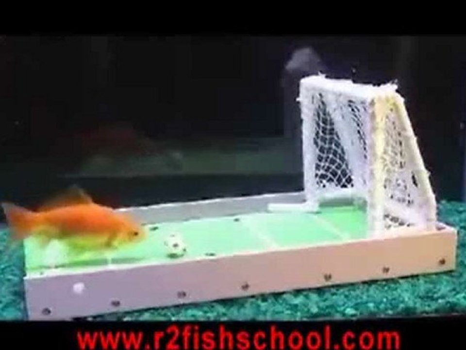 le poisson de lionel Messi