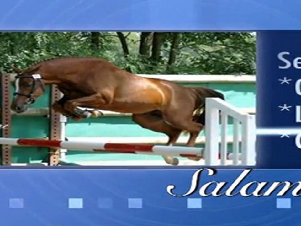 salam pub