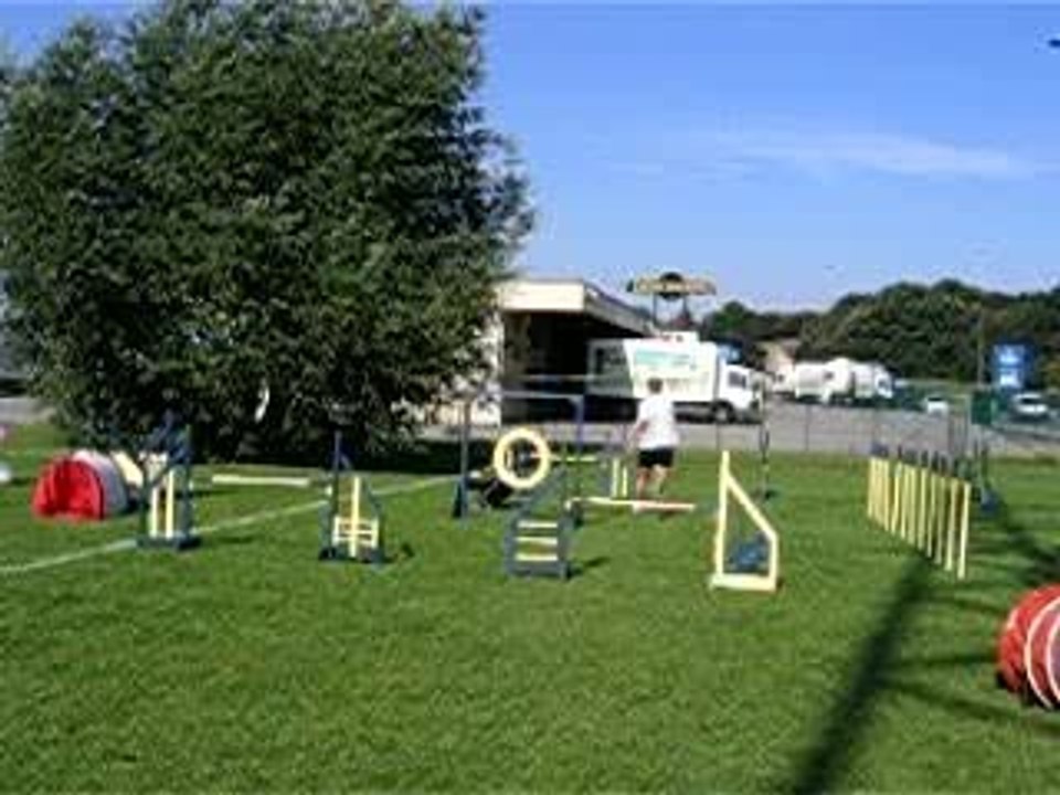 agility 6