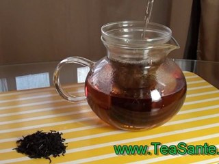 Canada's Tea House - Tea Sante- High Quality Tea