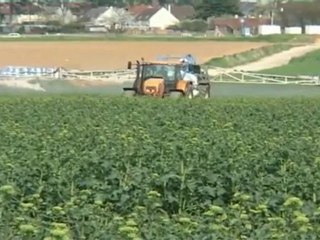 Les métiers.net : conseillere agricole