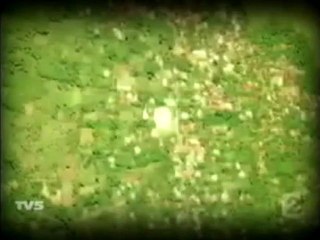 Vous n'allez pas en croire vos yeux Subhane Allah - YouTube