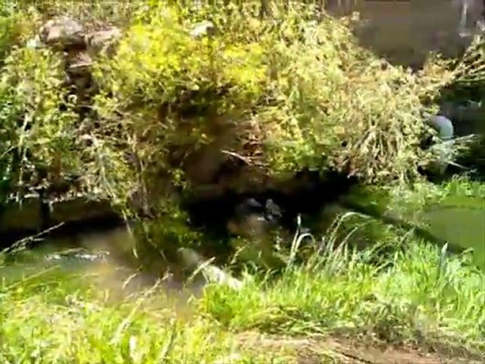 Erzurum - Kaynak Köyü