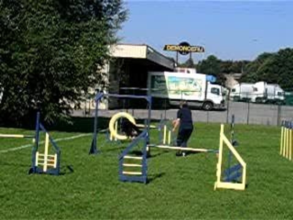 agility 5
