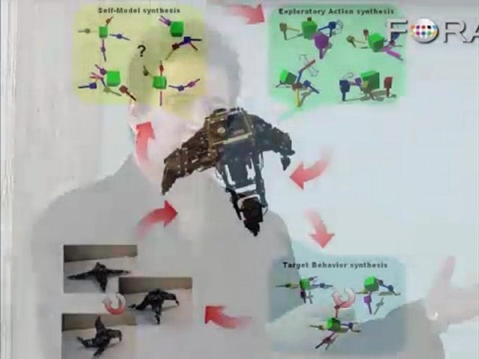 A Robot Teaches Itself How to Walk