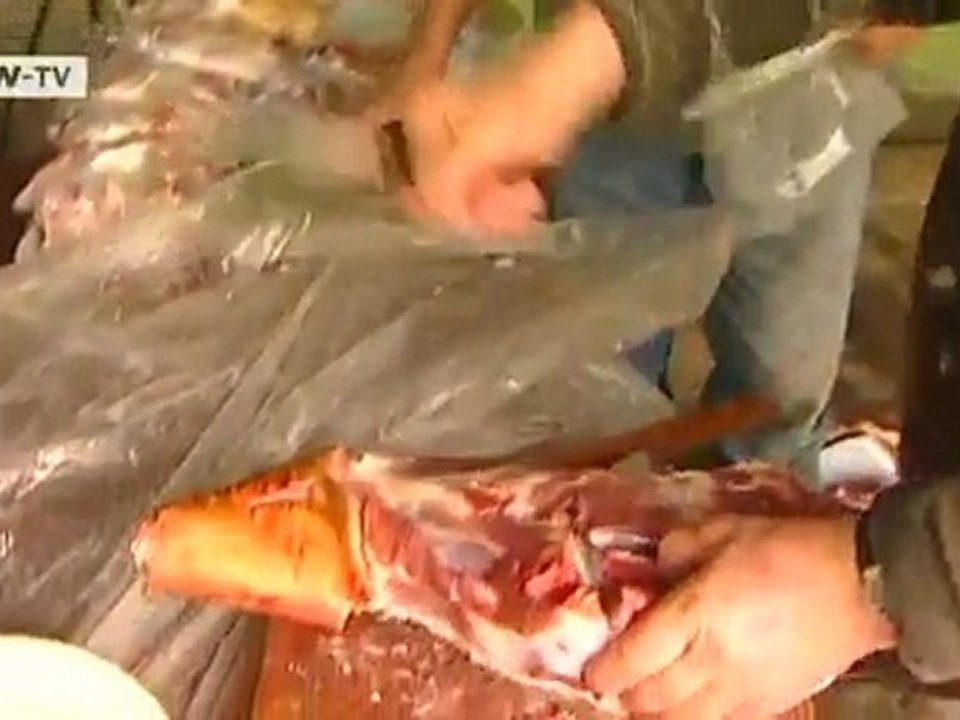 Romania: No more bringing home the bacon | European Journal