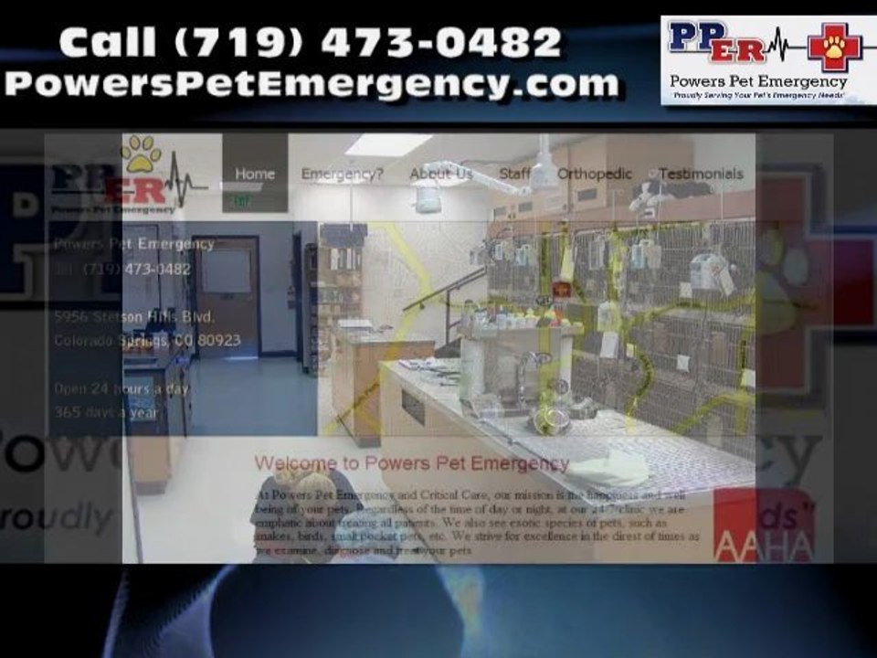 Pet Clinic in Colorado Springs CO Powers Pet Emergency