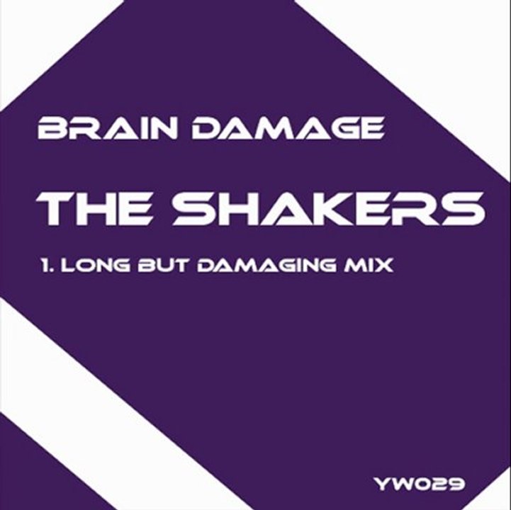 The Shakers - Brain Damage (Long But Damaging Mix)