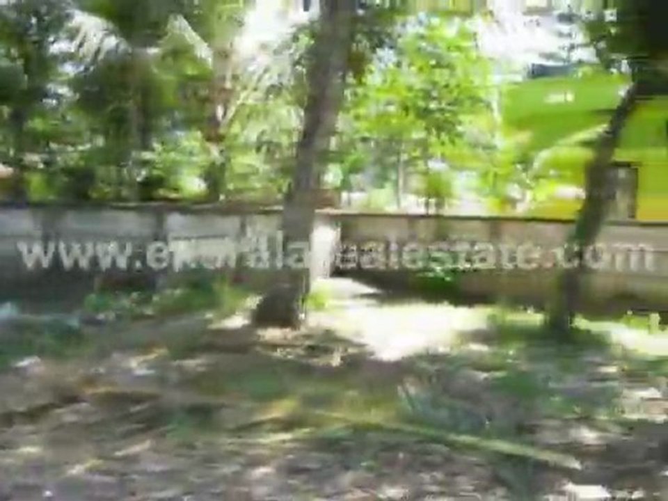 Kollam Real Estate - Land for Sale at Nellimukku, Kollam
