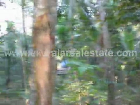 Land for Sale at Kallayam, Trivandrum - Trivandrum Real Estate