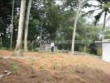 Tvm Properties -  Residential /Commercial Land for Sale at Kadukkamoodu, Peyad - Uriyacode route, Trivandrum
