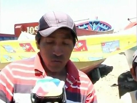 Over 200 dead dolphins wash ashore