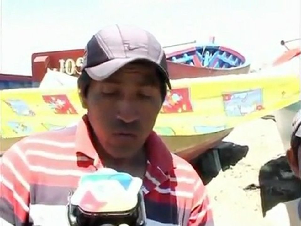 Over 200 dead dolphins wash ashore