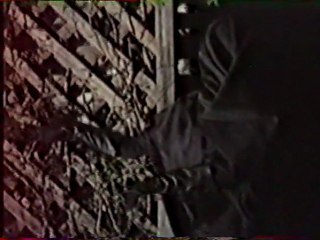 Le Cœur du Jardin Secret 1/2