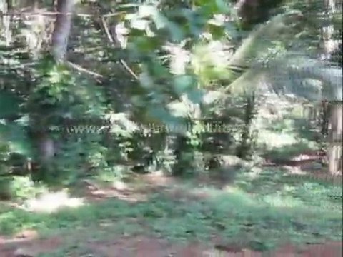 buy residential land trivandrum - Residential Land for Sale at Powdikonam, Trivandrum